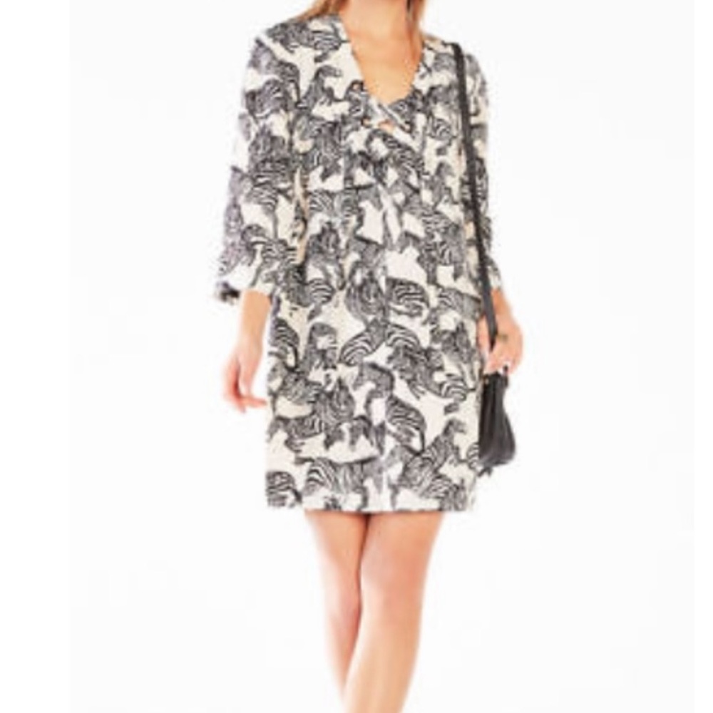 BCBG Zebra Dress